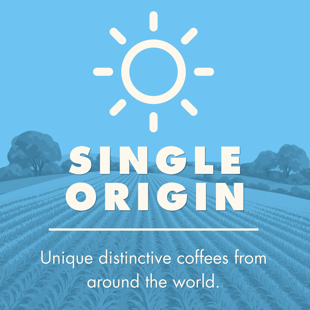 Single Origin Beans